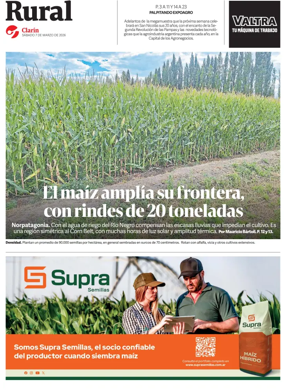 Cover of Rural