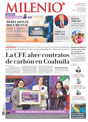 Cover of Milenio Laguna