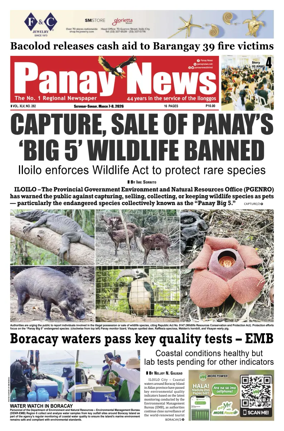 Cover of Panay News