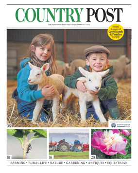 Cover of Country Week