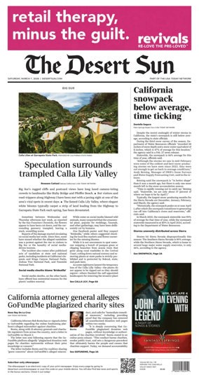 Cover of The Desert Sun