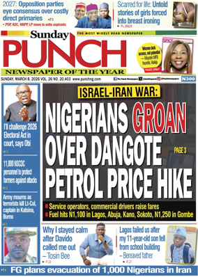 Cover of Sunday Punch