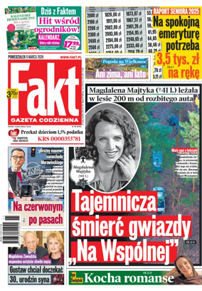 Cover of Fakt