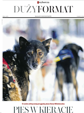 Cover of Duzy Format