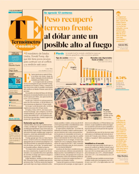 Cover of Termometro Economico