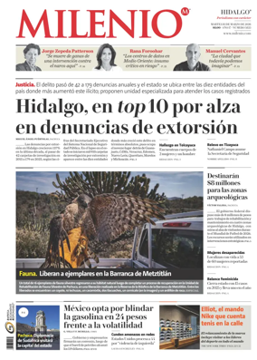 Cover of Milenio Hidalgo