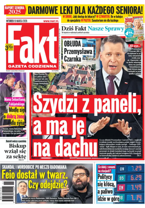 Cover of Fakt