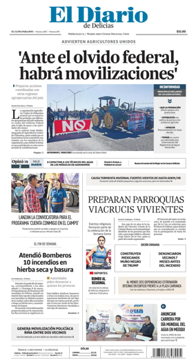Cover of El Diario de Delicias