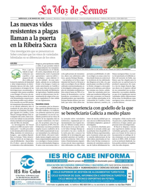 Cover of Monforte local