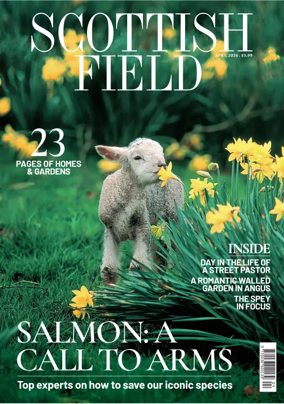 Cover of Scottish Field