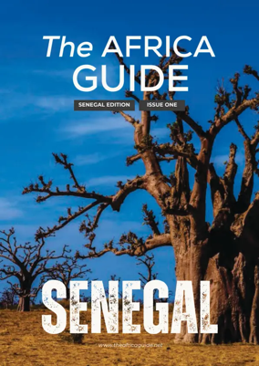 Cover of The Africa Guide