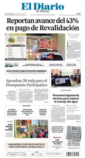 Cover of El Diario de Delicias