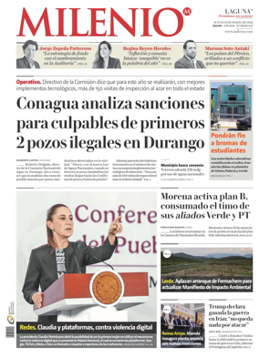 Cover of Milenio Laguna