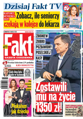 Cover of Fakt