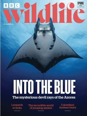 Cover of BBC Wildlife Magazine
