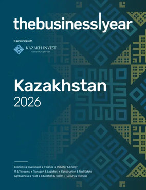 Cover of The Business Year