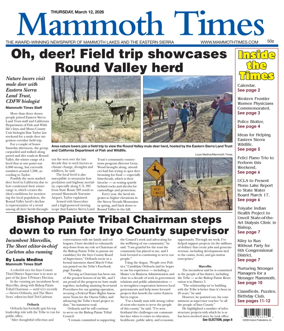 Cover of Mammoth Times