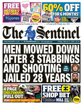 Cover of The Sentinel
