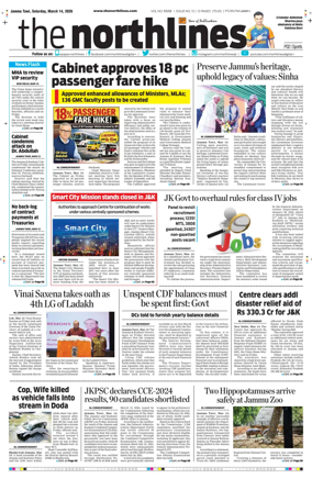 Cover of The Northlines