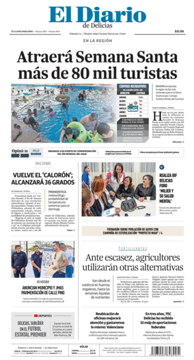 Cover of El Diario de Delicias