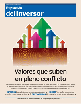Cover of Inversor