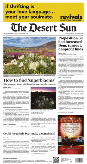 Cover of The Desert Sun