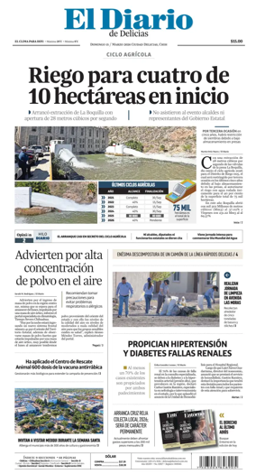 Cover of El Diario de Delicias