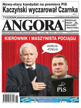 Cover of Angora