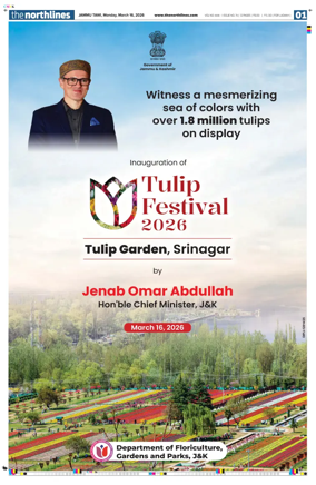 Cover of The Northlines