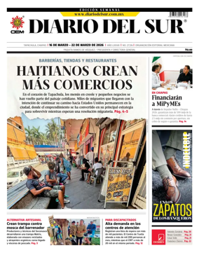 Cover of Diario del Sur