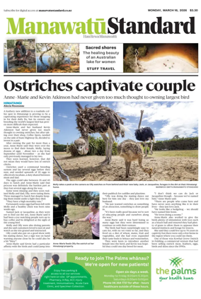 Cover of Manawatu Standard