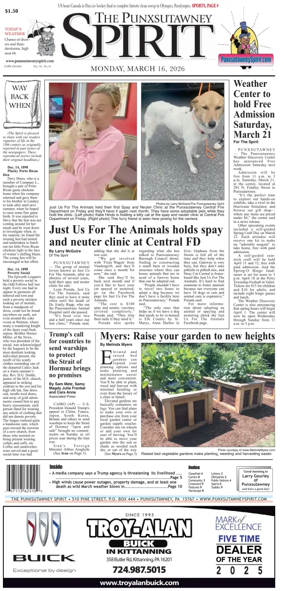 Cover of The Punxsutawney Spirit