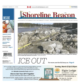 Cover of Shoreline Beacon