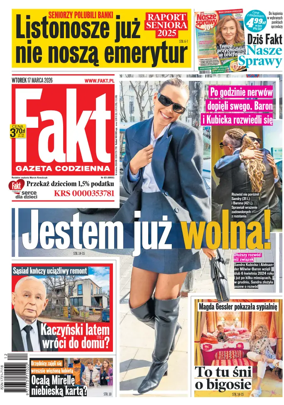Cover of Fakt