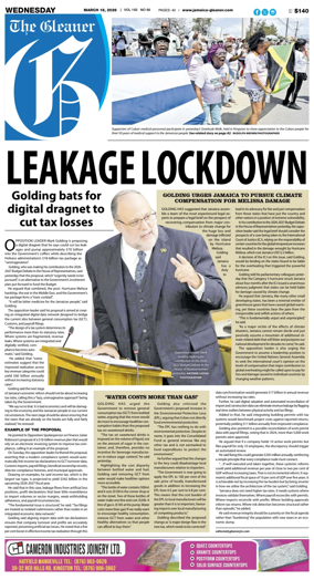 Cover of The Gleaner