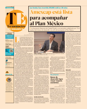 Cover of Termometro Economico