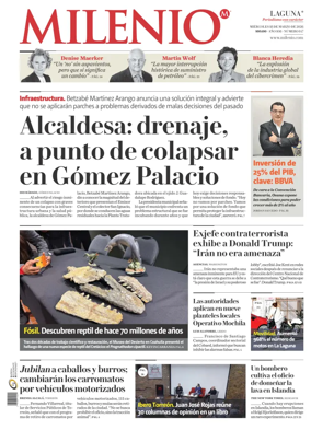 Cover of Milenio Laguna