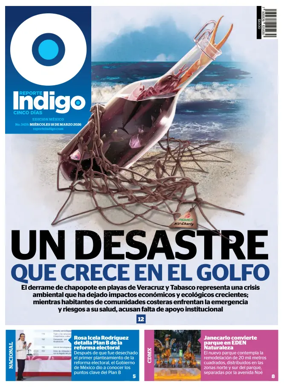 Cover of Reporte Indigo Nacional