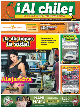 Cover of Al chile