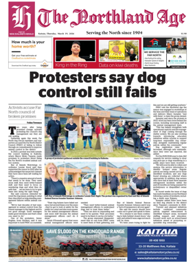 Cover of The Northland Age