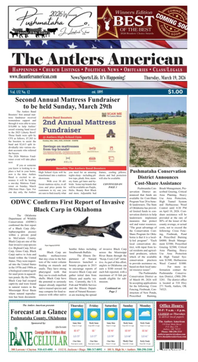 Cover of The Antlers American