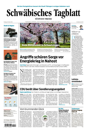 Cover of Schwabisches Tagblatt - Tubinger Chronik