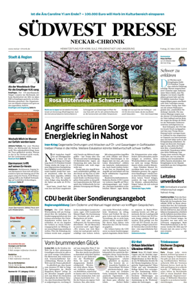 Cover of SUDWEST PRESSE - Neckar-Chronik