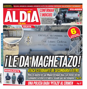 Cover of Periodico Al Dia (Celaya)
