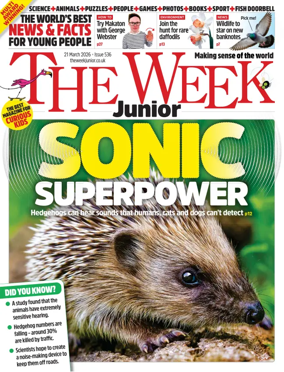 Cover of The Week - Junior