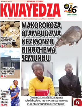 Cover of Kwayedza