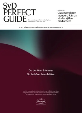 Cover of SvD Perfect Guide
