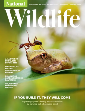 Cover of National Wildlife