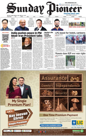 Cover of The Pioneer