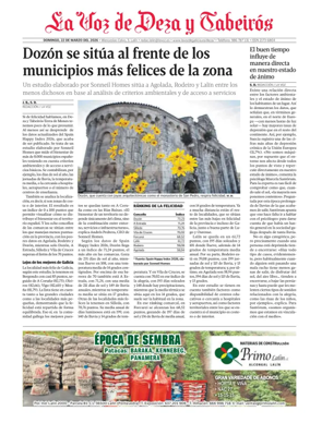 Cover of Deza local